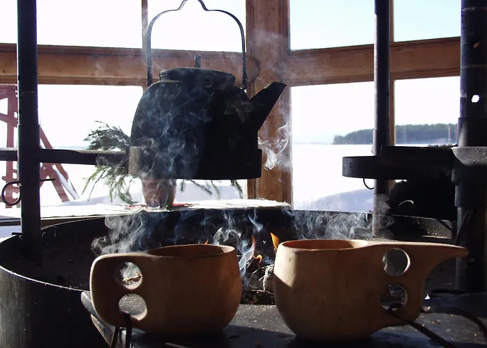 Herranniemi Vuonislahti